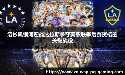 pg模拟器网址
